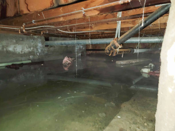 Best 24-hour water damage restoration  in Earlimart, CA