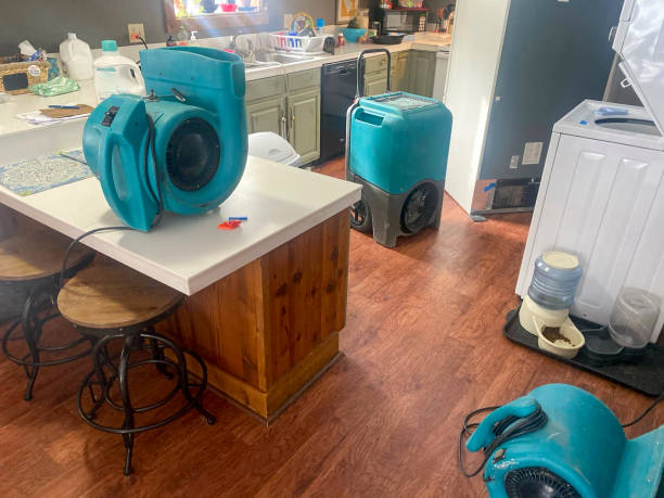 Best Carpet water damage restoration  in Earlimart, CA