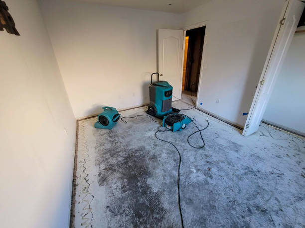 Best Flooded house restoration  in Earlimart, CA