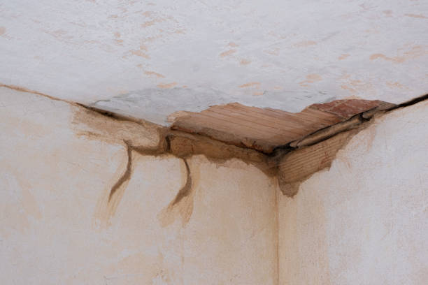 Best Water damage restoration near me  in Earlimart, CA