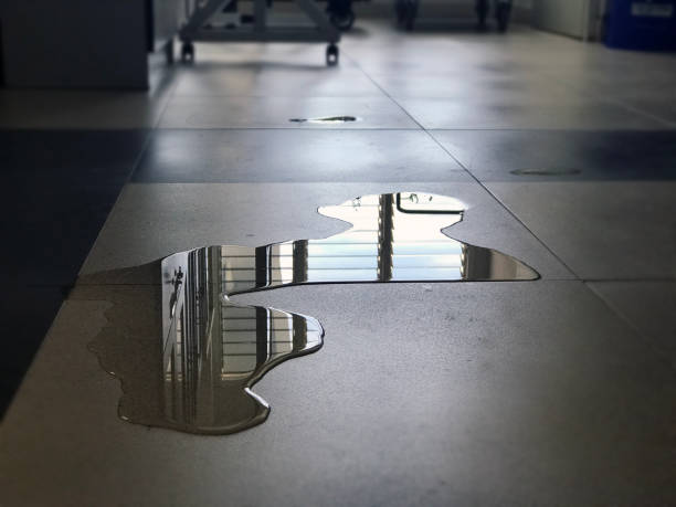 Best Professional water damage repair  in Earlimart, CA