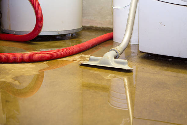 Best Basement water damage restoration  in Earlimart, CA