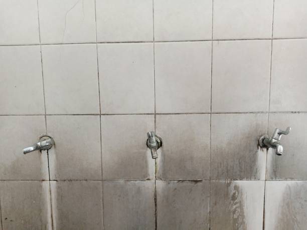 Best Ceiling water damage repair  in Earlimart, CA
