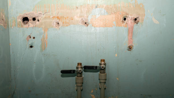 Best Flood restoration services  in Earlimart, CA